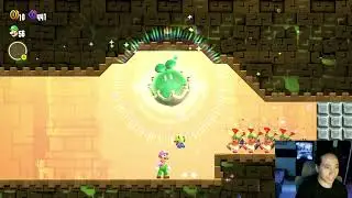 Super Mario Wonder seed game thing