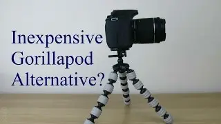 Beespod - inexpensive GorillaPod alternative