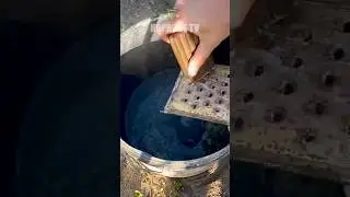 Від білокрилки допомогло відразу! Дієвий народний засіб #білокрилка #народний #засіб