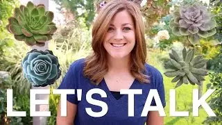 LET'S TALK: Succulent Care & FAQ