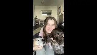 Roadtrip Essentials with Pets