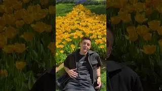 Хижина Музыканта - Рассвет (новая песня)