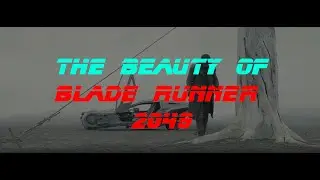 The Beauty of Blade Runner 2049
