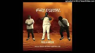 Pkilla Musik - What I Like