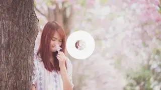 Automatic - Duck House