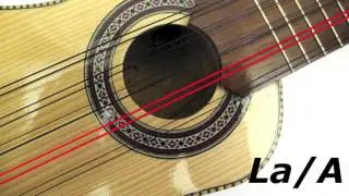 Charango Tuner