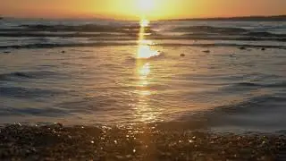 Synosure - Ocean
