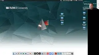 PluginPlay: FlowJo's plugin bundle with no R configuration