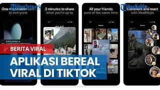Mengenal Aplikasi BeReal yang Sedang Viral di TikTok, Apa Itu?