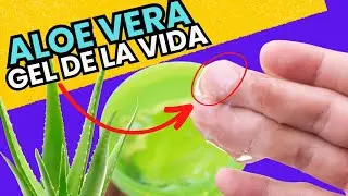 10 GRANDES BENEFICIOS DEL ALOE VERA (SABILA) Y La Mejor Forma De Prepararla