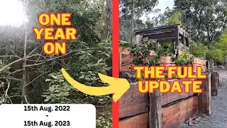 One Year On (A Full Update)
