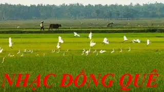 ✅ Nhạc đồng quê l Nhạc không lời l Hòa tấu guitar l Play list 25
