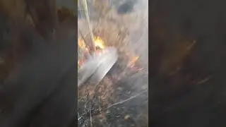 Помогаем устранить лесной пожар.