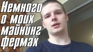 Немного о всех моих фермах, их проблемах и прочем.