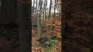 Kleiner Shelter