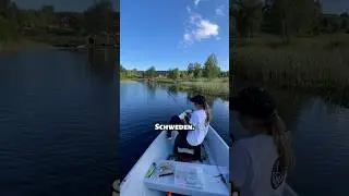 Angeln in Schweden im Sommer [10/10] #shorts #angeln #schweden