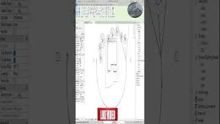 Walkthrough in Revit | 