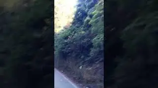 #nature #trending #travel #hindisong #viralvideo #video
