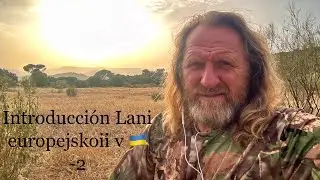 31 de julio de 2024