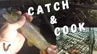 Trout fishing trip with the lads in my DIY caravan