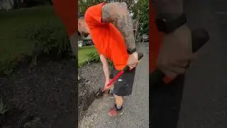 Cleaning up garden edges #cleaning #garden #lawncare #yardwork