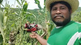 😱asi seran las proximas vacaciones del potro 🌱🐎