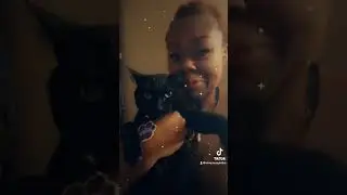 How he do?                                    #cats #catvideos #catlover #foryou #pets