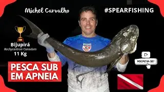 Bijupirá nos 23 metros de Profundidade | Pesca Submarina #spearfishing #fishinglife #michelcarvalho