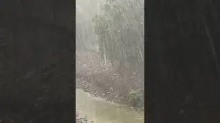 Долгожданный дождь🌧️ #рекомендации #дождь #погода #сочи #мацеста#нравится