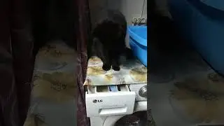 бабай спрятался