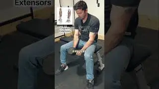 Full Forearm Workout | Exercises & Grip Strength
