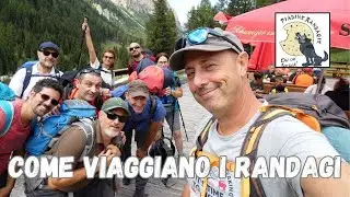 MA QUANTO VIAGGIANO LE PIADINE RANDAGIE! #FERMATELI