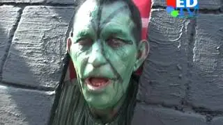 Brabantsedag verslag
