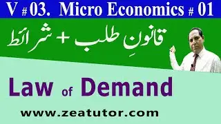 Law of Demand | Assumptions of Demand | zea tutor | Economics lectures in Urdu/Hindi by Sir Zafar