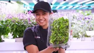 What's In The Bag? Fresh Food and Good Moods