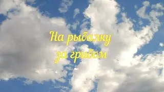 На рыбалку за грибом