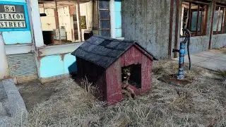 Fallout 4: Can't find Dogmeat in Sanctuary? He might be in one of the three existing doghouses.