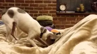 It's a nice bed, I dig it