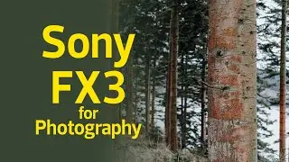 Sony FX3 for Stills Photography