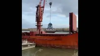 Кукуруза на экспорт. Оптовые продажи из России.