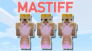 MASTIFF Set UPGRADE! Skyblock Starter Guide #11