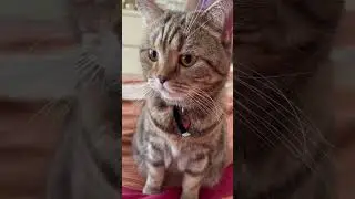 Позови меня с собой 💖