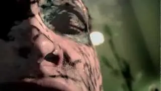 Uncle Outrage - Kingfish