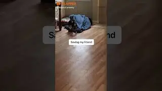Saving my Friend