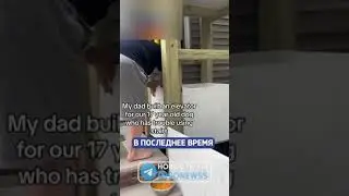 Хозяин сделал лифт для собаки, которой трудно ходить