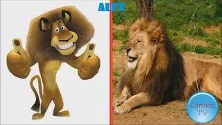 MADAGASCAR  IN REAL LIFE CHARACTERS