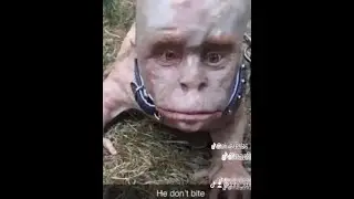айкью момент