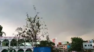 প্রকৃতি,Nature 💭🌱🌴weather....