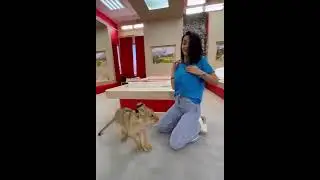киски..))