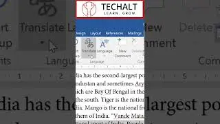 Translate text to another language in Ms Word 